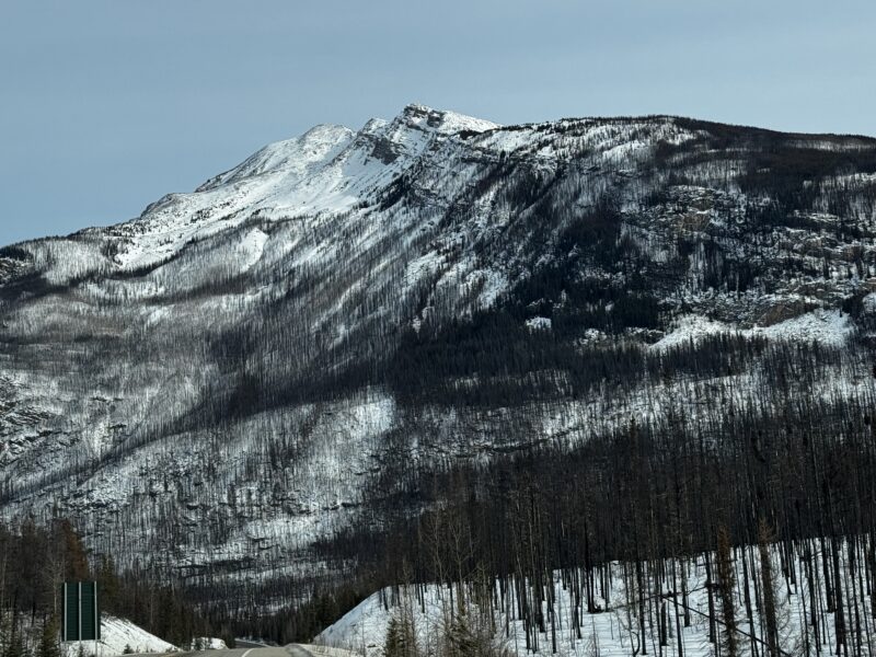 Icefields Parkway, Lake Louise to Jasper. Image © PlanetSKI